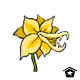 Savage Daffodil