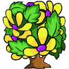 Yellow Eesa Tree