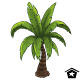 Dark Island Palm Tree