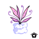 Faeriewing Plant