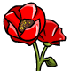 Red Poppies - r60