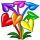 Rainbow Anthurium