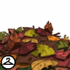 Thumbnail for Beautiful Autumn Leaves Foreground