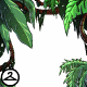 Thumbnail for Hanging Fronds