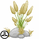 Pampas grass only grows in the more arid regions of Neopia.