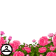 Thumbnail for Pretty Flowers Foreground