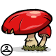 What a charming little toadstool.
