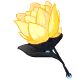 Use a yellow rose to show someone how joyous you feel around them.