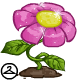 https://images.neopets.com/items/gif_smhappy_faerie_flower.gif