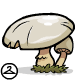 What a charming little toadstool.