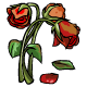 Wilted Red Roses