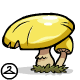 Thumbnail for Yellow Toadstool