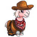 gnorbu-outfit-cowboy.jpg