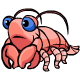Maraquan Grackle Bug