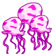 gross_jellyfish