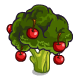 Apple Tree Broccoli