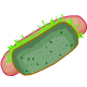Healthy Grass Hot Dog