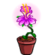 Mysterious Potted Flower