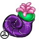 Thumbnail for Anemone in a Shell Pot