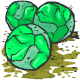 Rock Baby Cabbages