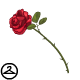 Thumbnail for Romantic Mouth-Held Rose