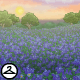 Blue Field Background