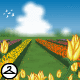 Thumbnail for Colourful Flower Farm Background