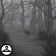Forest Fog Background