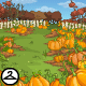 Pumpkin Patch Background