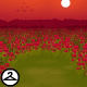 A field of wild red flowers at sunset, what a perfect place to spend your Valentines Day! This NC item was awarded for participating in Sealed With A Gift.