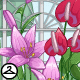 Thumbnail for Romantic Greenhouse Background