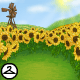 Thumbnail for Premium Collectible: Sunflower Fields Background