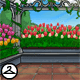 Thumbnail for Tulip Background