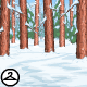 Thumbnail for Snowy Forest Background