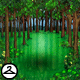 Forest Clearing Background