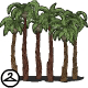 Thumbnail for Row of Palm Trees