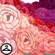 Thumbnail for Field of Ombre Peonies