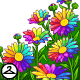 Thumbnail for Rainbow Daisies Foreground