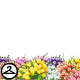 Thumbnail for Rainbow Tulip Bouquets Foreground