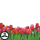 Thumbnail for Pretty Tulip Foreground