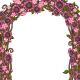 Thumbnail for Dyeworks Pink: Radiant Sunflower Arbour