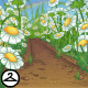 Thumbnail for Rainbow Field of Daisies Background
