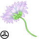 Thumbnail for Dyeworks Lavender: Pink Daisy Parasol