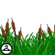 Thumbnail for Swaying Cattails