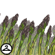 Thumbnail for Asparagus Foreground