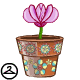 Thumbnail for Growing Potted Plant