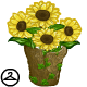 Sunflower Pot
