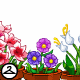 Thumbnail for Potted Flower Foreground