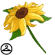 Woah...this giant sunflower just sprouted out of no where, lets pick it up and go!
This NC item was given out as a Premium Collectible reward in Y21.