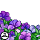 Thumbnail for Premium Collectible: Spring Pansies Foreground